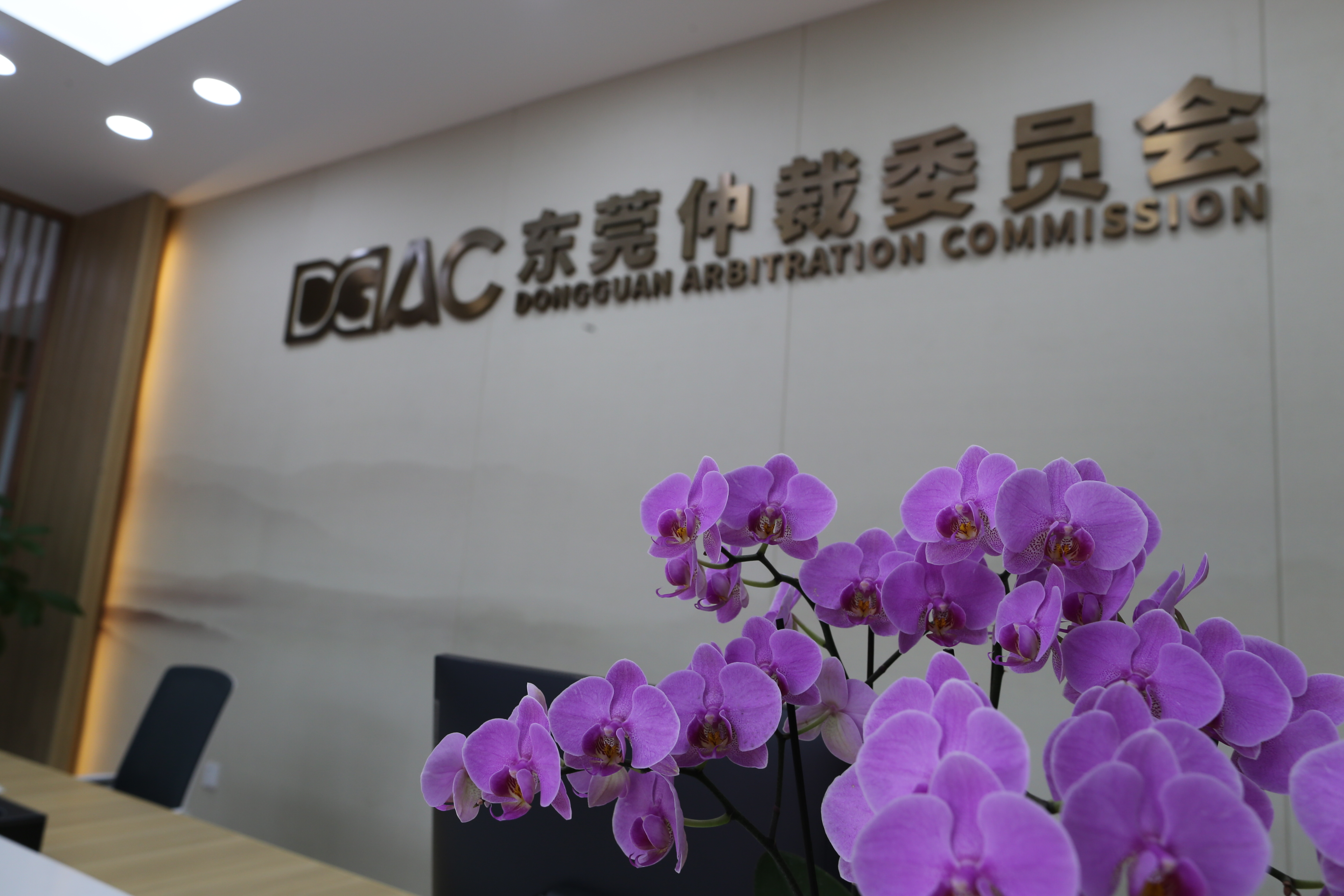 学习强国APP、东莞政法微信公众号、东莞普法微信公众号、东莞日报、东莞广播电视台等媒体宣传报道东莞仲裁委正式揭牌