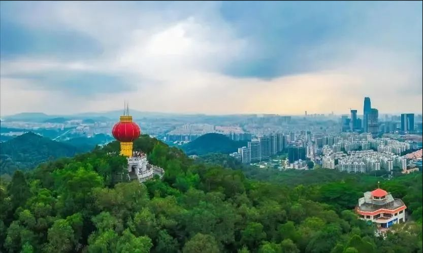 广东省律师协会刘涛副会长一行到东莞仲裁委员会调研交流