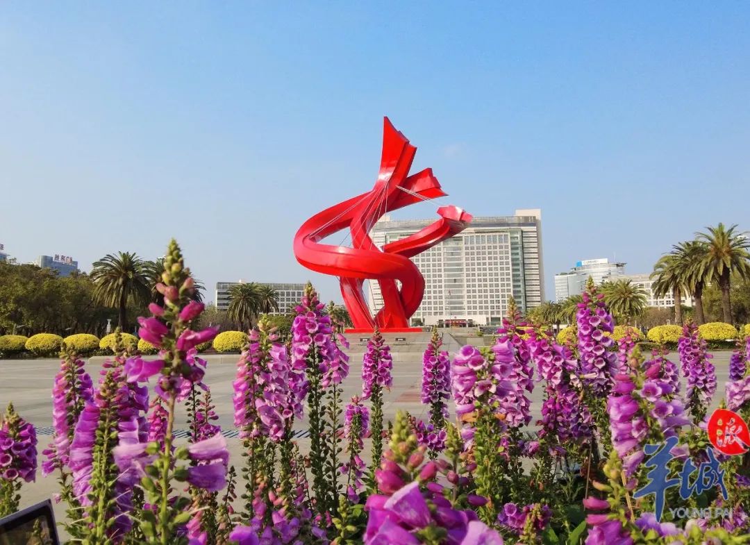 白艳：仲裁女性